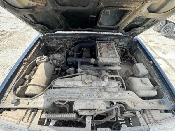 HYUNDAI CALLOPER 2.5 D4BH - imagine 6