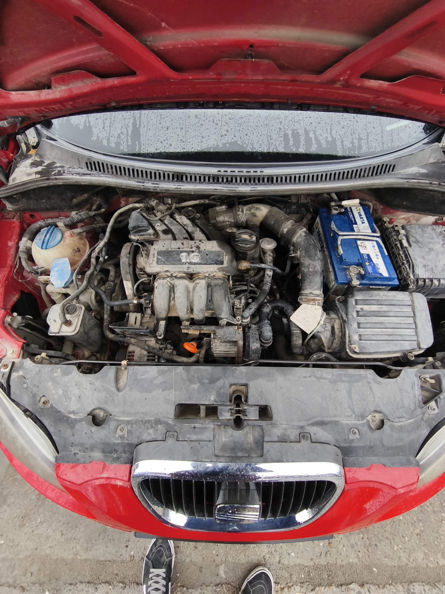 SEAT ALTEA 1.6 BENZINA(BSE) - imagine 3