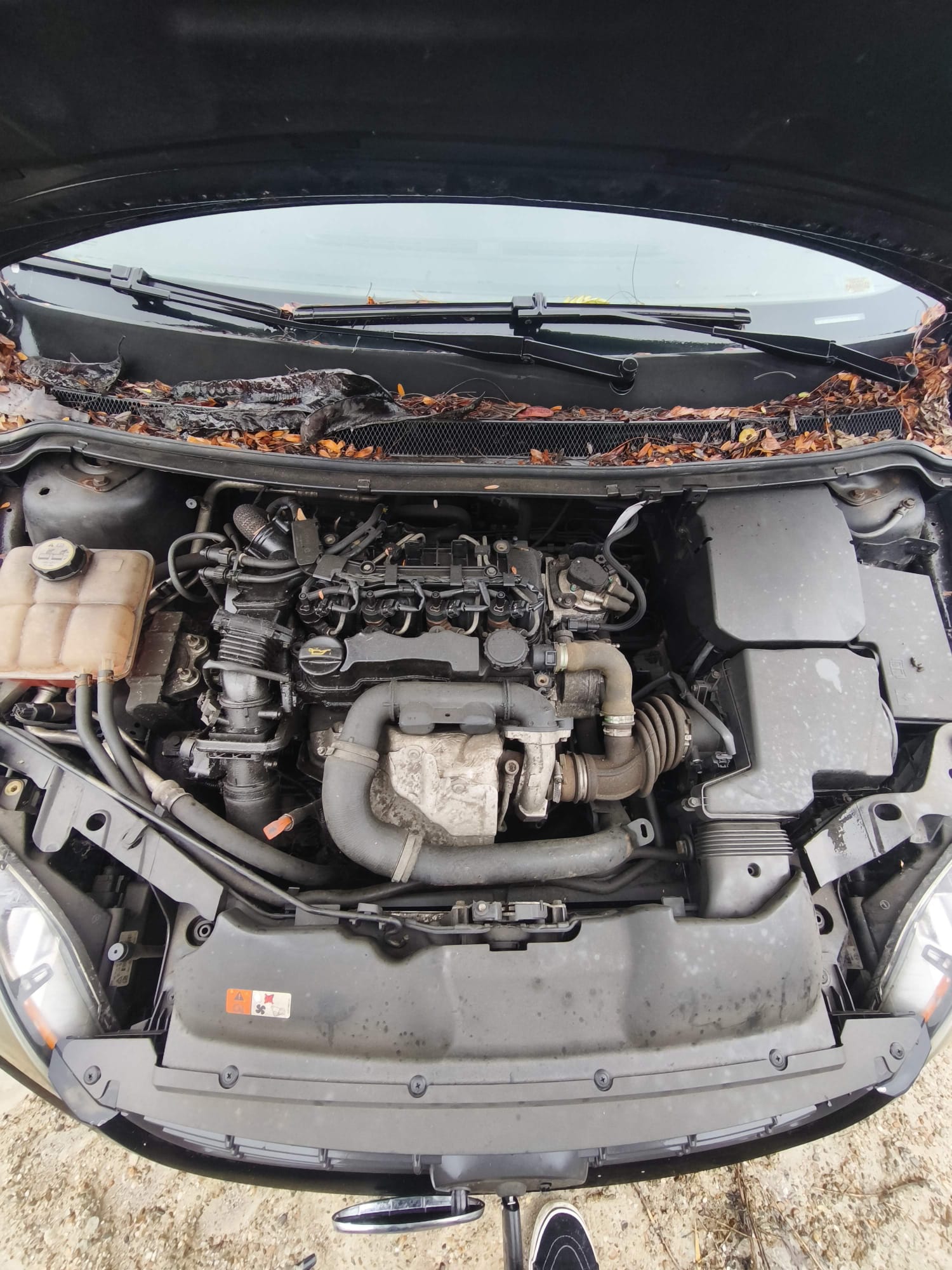 FORD FOCUS 2 1.6 DIESEL(HHDA) - imagine 2