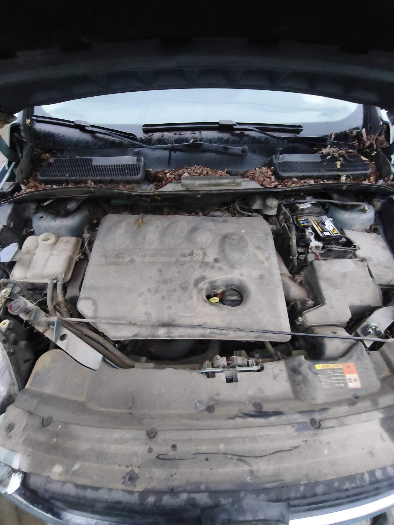 FORD KUGA 2.0 DIESEL(G6DG) - imagine 3